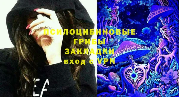 шишки Белоозёрский