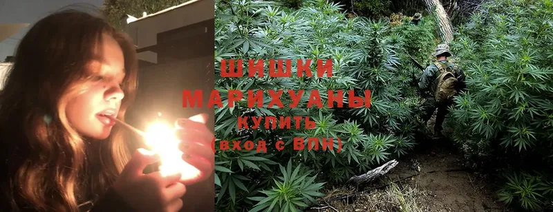 наркота  МЕГА зеркало  Конопля White Widow  Динская 